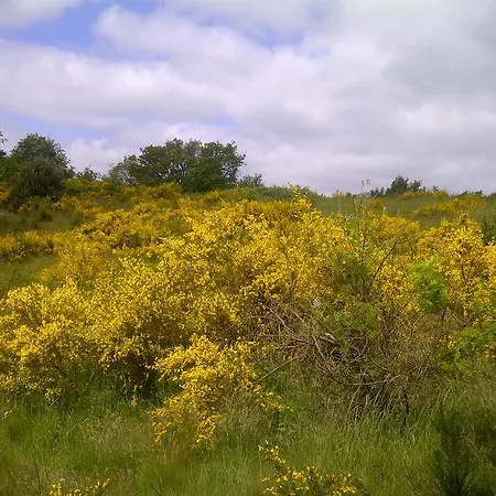 Boddenkiek Mit Wasserblick In Apartment *
